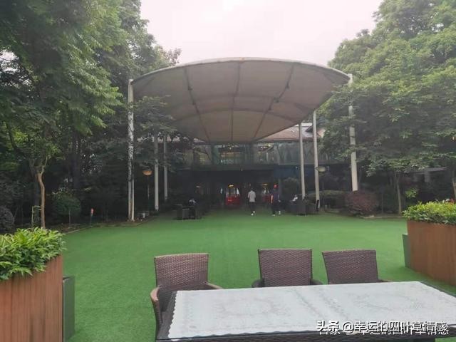 快递没收到却已被签收怎么办,网友买的货没收到