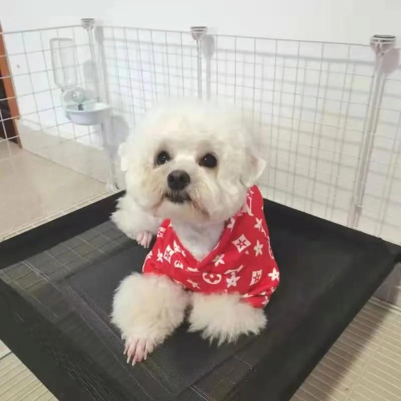 男生猛犬穿女装,男生细狗穿女装