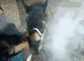 搞笑gif开心一刻,搞笑gif段子妹子你太皮了