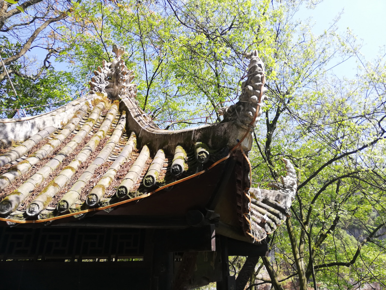 贵州的织金洞旅游攻略,贵州织金洞旅游自由行攻略