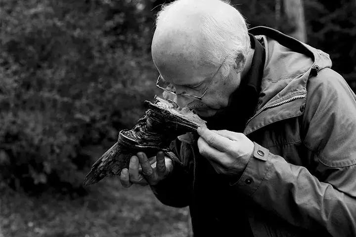 名禾地板原木,名禾实木地板多少钱一平方