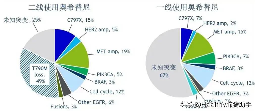 EGFR靶向药全面总结与展望-靶向治疗总结（二）
