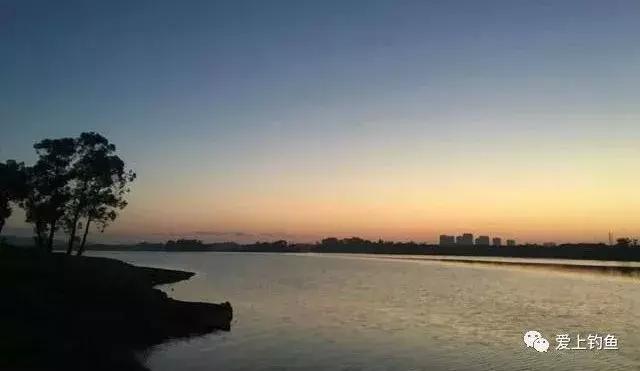 钓到8斤大鲫鱼,8斤以上野钓鱼视频