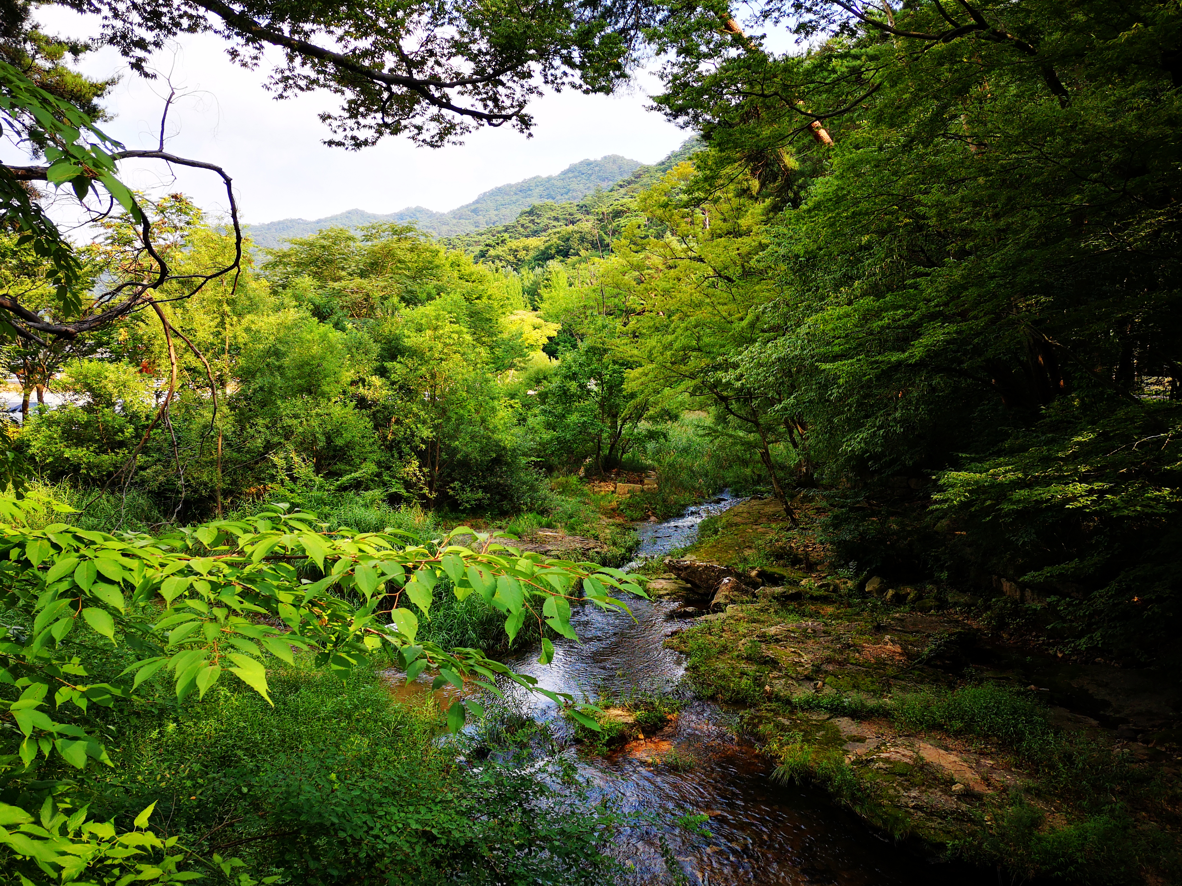 俗离山和法住寺——走进没有代购的别样韩国