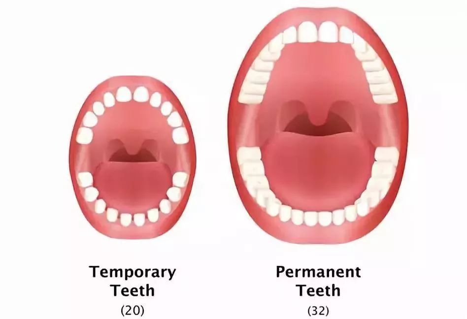 因为奶奶导致孩子生病,奶奶的习惯对孩子的影响