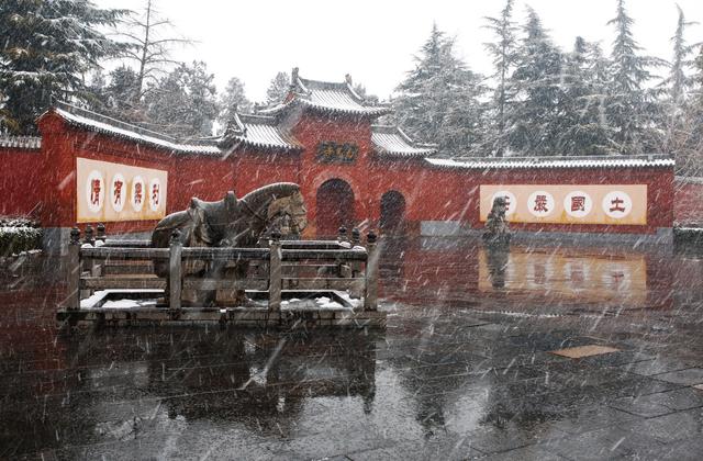 三武一宗灭佛运动发起人有哪些,三武一宗弑佛灭道