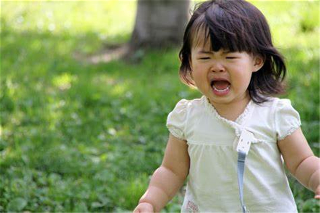 养花对小孩有影响吗,养花与培养孩子