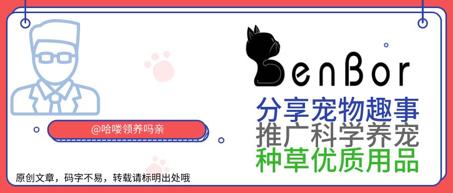 宠物托运需要检疫证吗多少钱,宠物托运要托运费吗