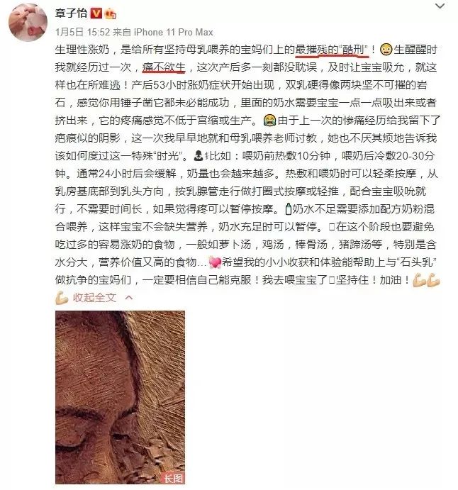 马伊琍喜欢的哑铃,马伊琍怒赞的哑铃