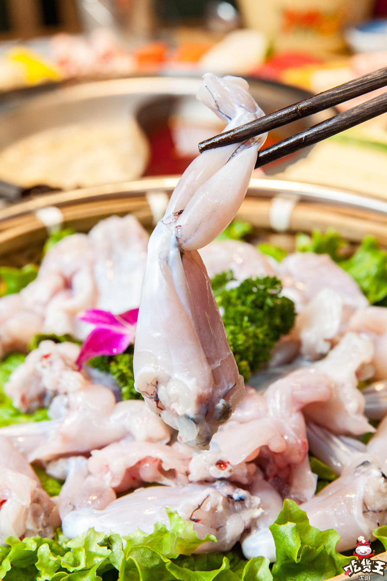 人均只要36元!江巴人火锅热辣呼啦圈上市啦