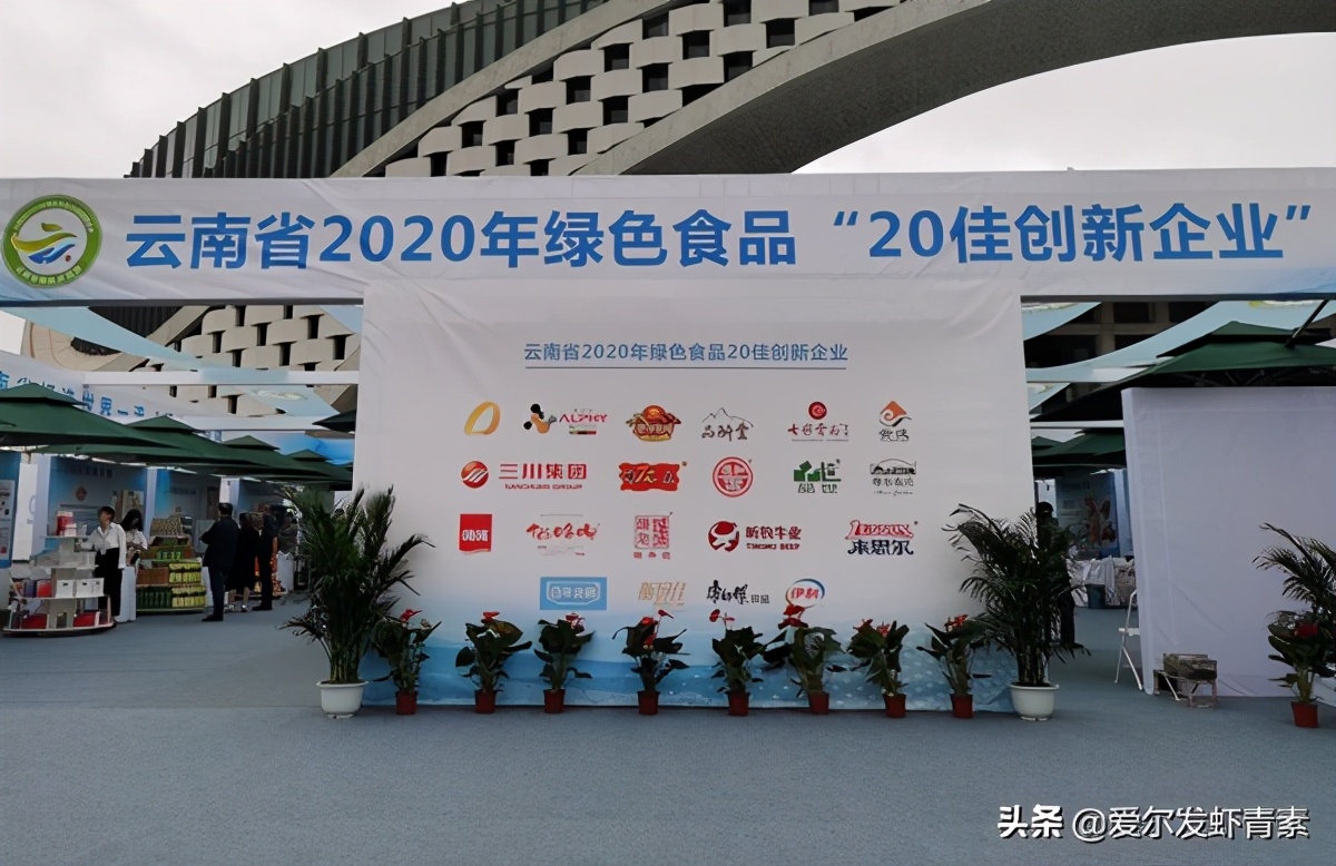 2021云南绿色食品10强企业,2021云南绿色食品10强