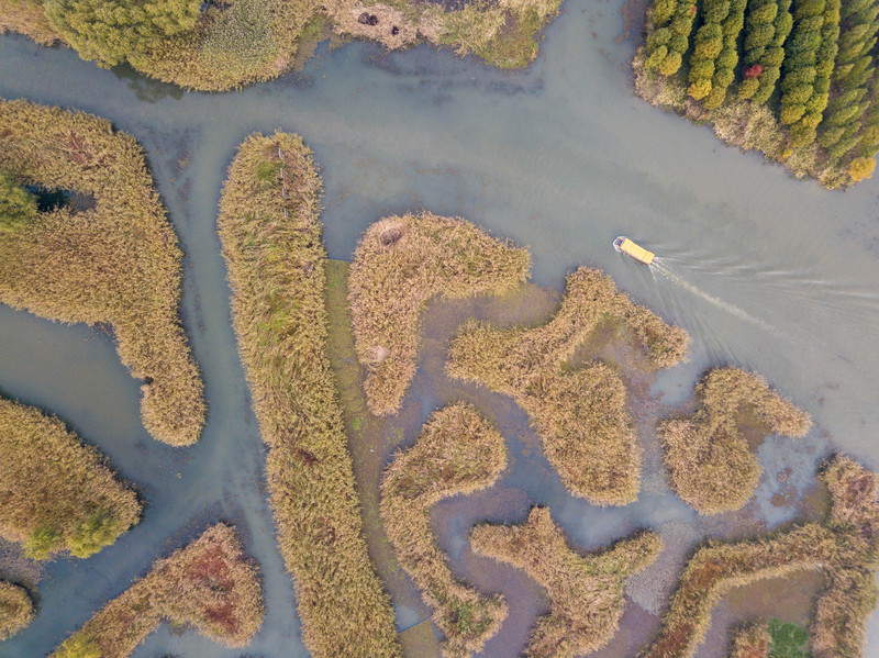 森林麋鹿公园,森林麋鹿