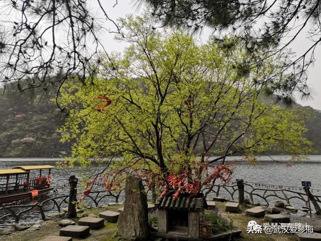 清凉寨樱花烂漫,清凉寨野景