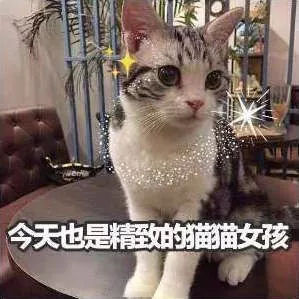 广州批发服装市场有哪些坑,服装批发市场避免踩坑男装