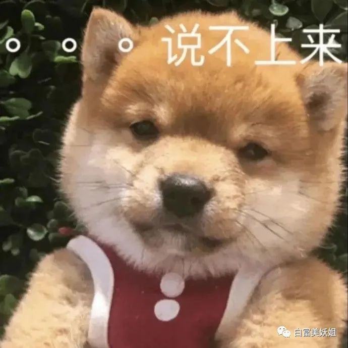 拜佛名媛翻车啦，背景被人扒底朝天