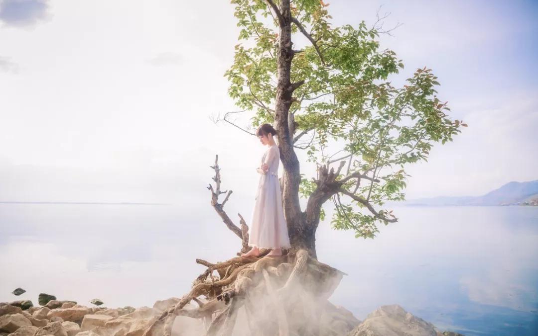 物极必反否极泰来深度好文,物极必反完整的句子