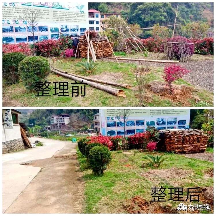 【满意在三明】清沟扫地摆整齐，大田掀起人居整治热潮