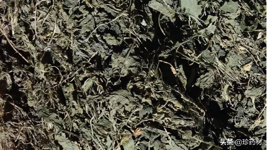 11月1日中药材市场快讯：金樱子、生地、红花、覆盆子、北沙参等