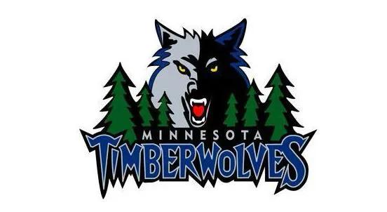 nba最好看的球衣款式,nba最好看标志