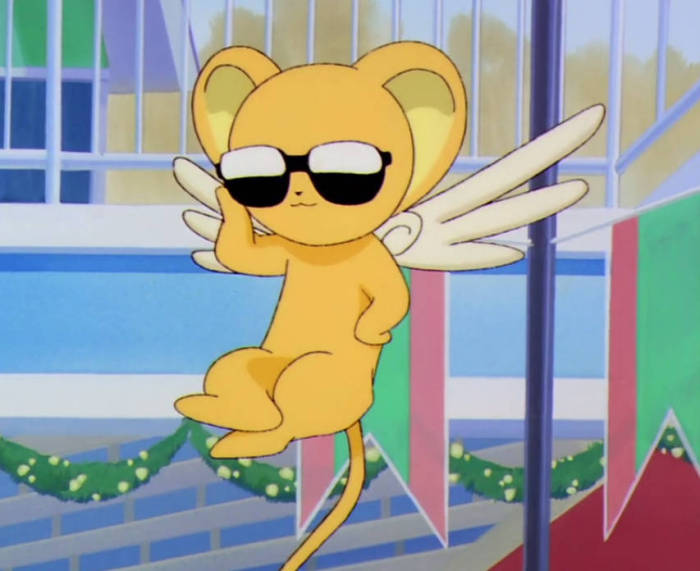 三只萌宠你们喜欢哪只,萌宠大合集你最喜欢哪一只