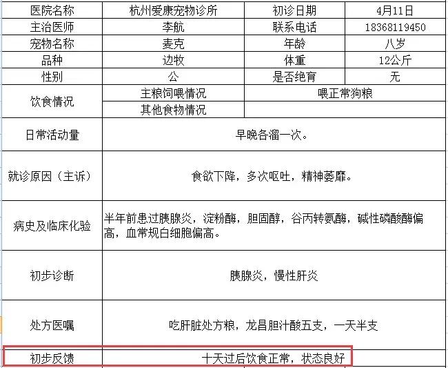 老年犬病后虚弱怎么办,老年犬肾衰怎么办