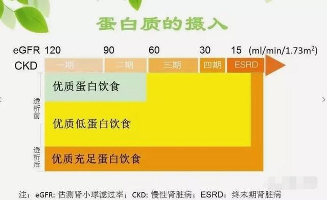 肌酐高150一般维持几年到尿毒症,尿肌酐高饮食注意哪些