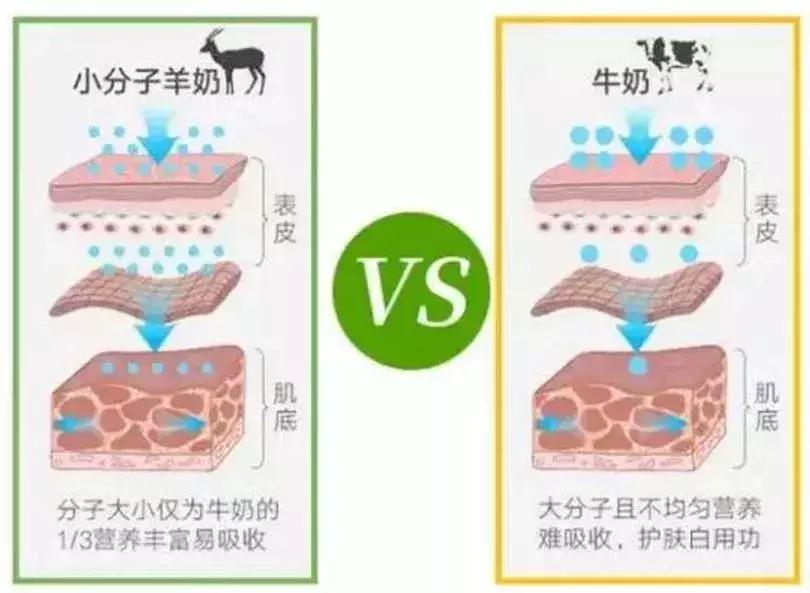 5块钱一片面膜好不好用,5块钱一张的面膜推荐