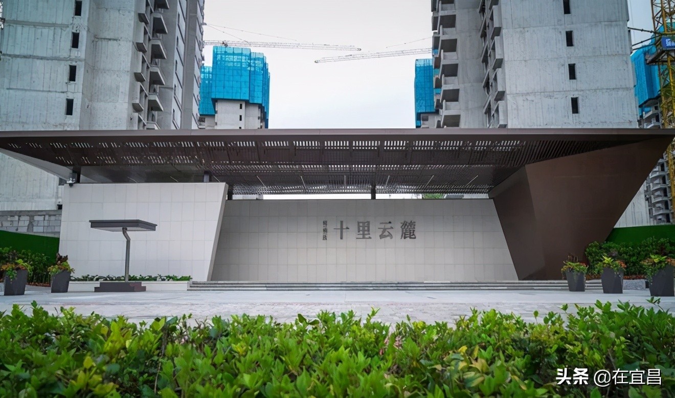 牛！这样的伍家岗，你怎能不爱