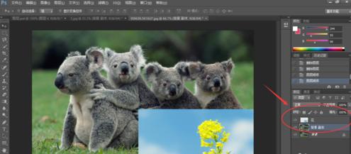 帕萨特车灯光哪里开,帕萨特车灯高度可以调节么