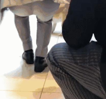 约会千万不要带狗,婚礼可以带狗吗