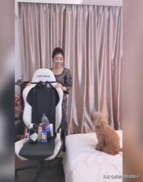 新加坡空姐现状,新加坡空姐最近情况