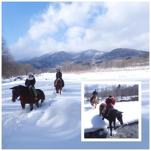 北海道深度游攻略：15种你搜不到的北海道今冬新体验