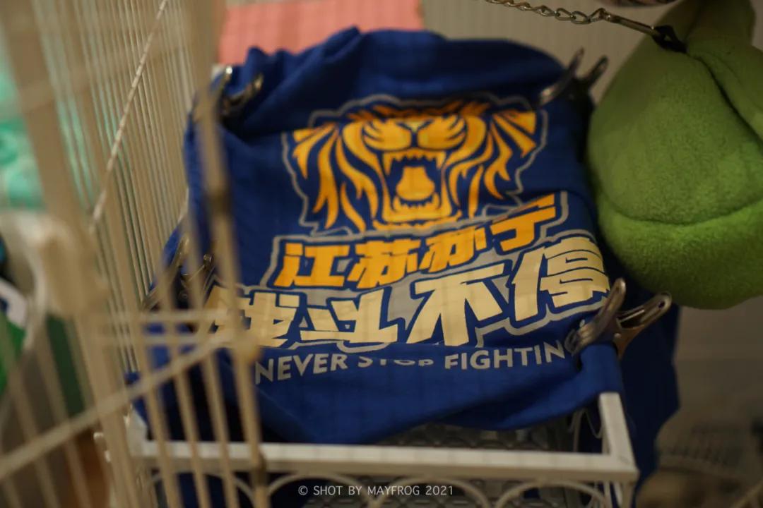 「清明特辑」零首付！月供2块2！江苏队的头七日我尽了绵薄之力