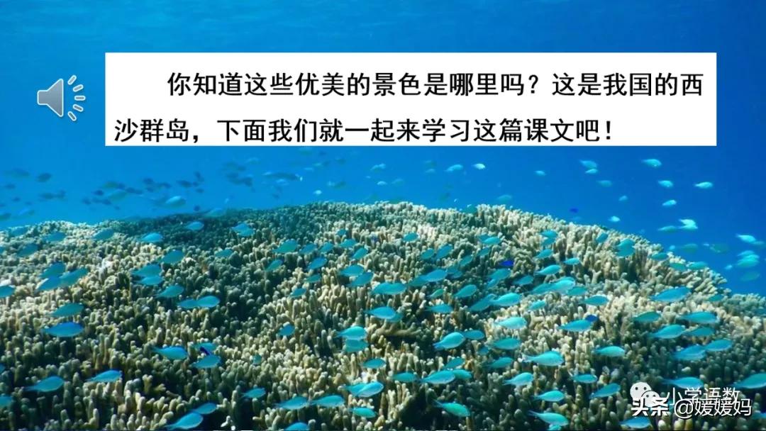 三年级第18课富饶的西沙群岛视频,三年级上册18富饶的西沙群岛笔记