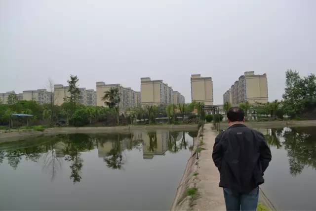 湖南最好的锦鲤养殖基地,湘潭锦鲤养殖