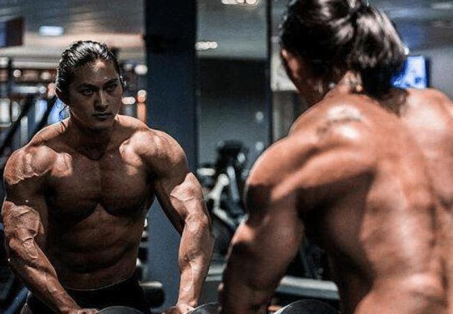 类固醇健身增肌饮食,增肌类的类固醇跟减脂的区别