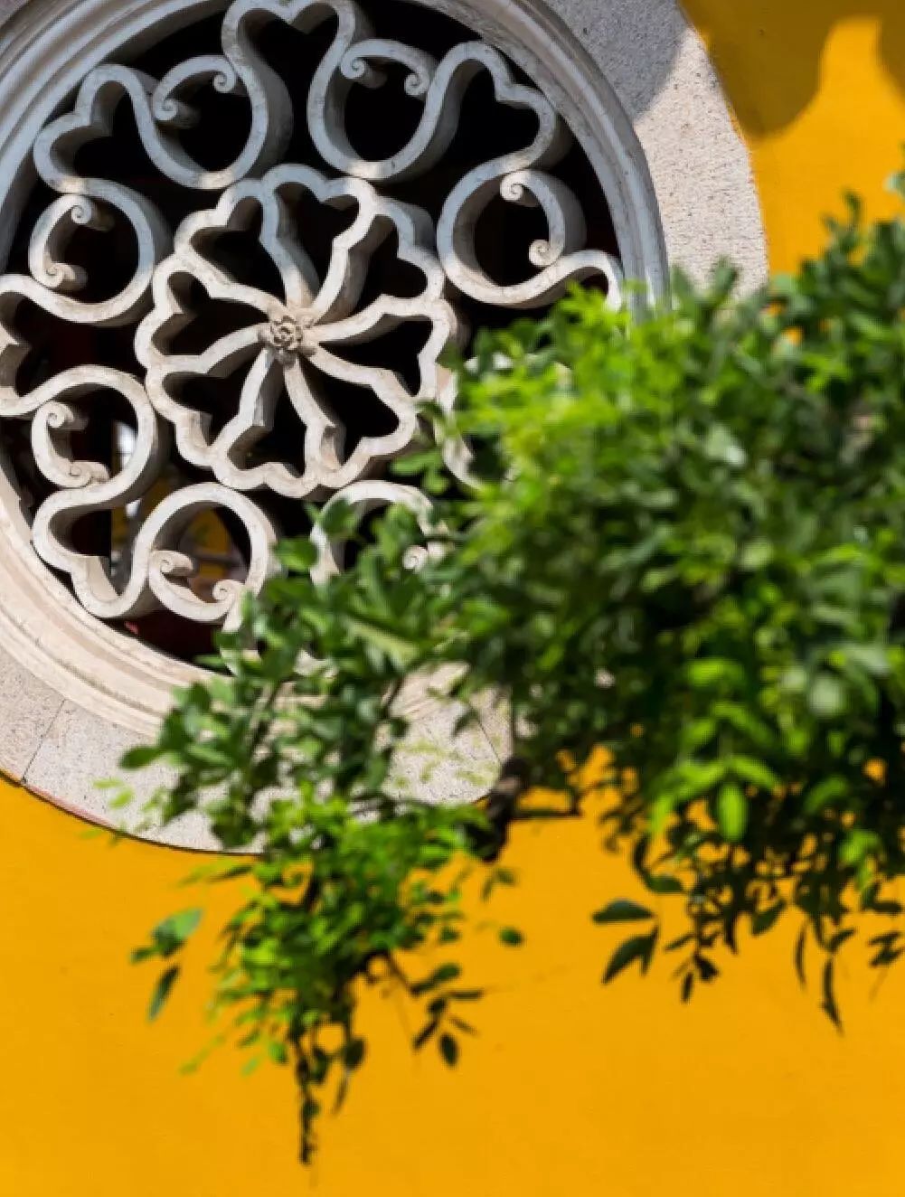 ip设计非遗,ip设计三维软件