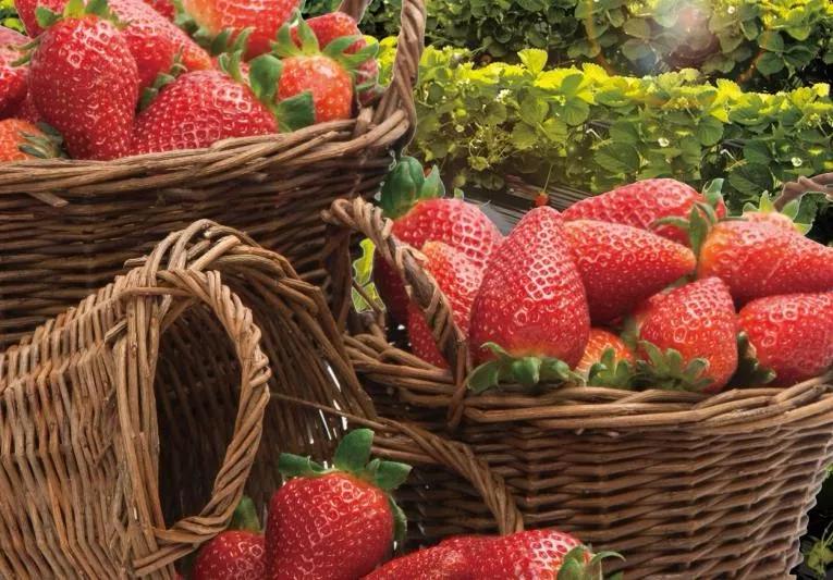 妈妈一招制服3年级孩子,妈妈一招制服熊孩子