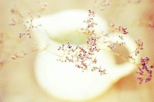 适合发朋友圈的爱情说说，句句简短走心！