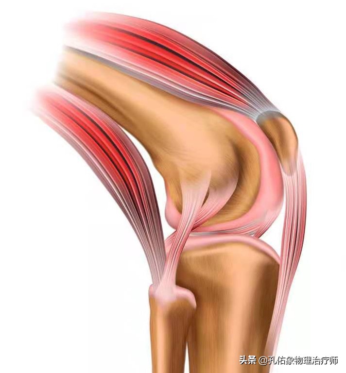 膝关节疼痛位置判断得了什么病,膝关节疼痛一般什么原因引起的