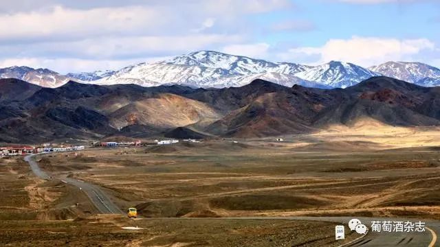 中国葡萄酒在中国市场的优劣,中国葡萄酒市场前景分析报告