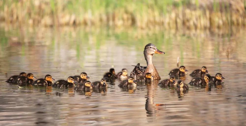 四月发生的事,东城发生的事
