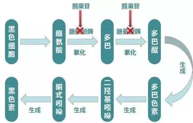 大s自曝服用抗凝血,大s吃的抗凝血剂是什么