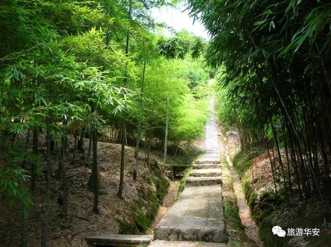 春风十里不如你,我在华安等着您