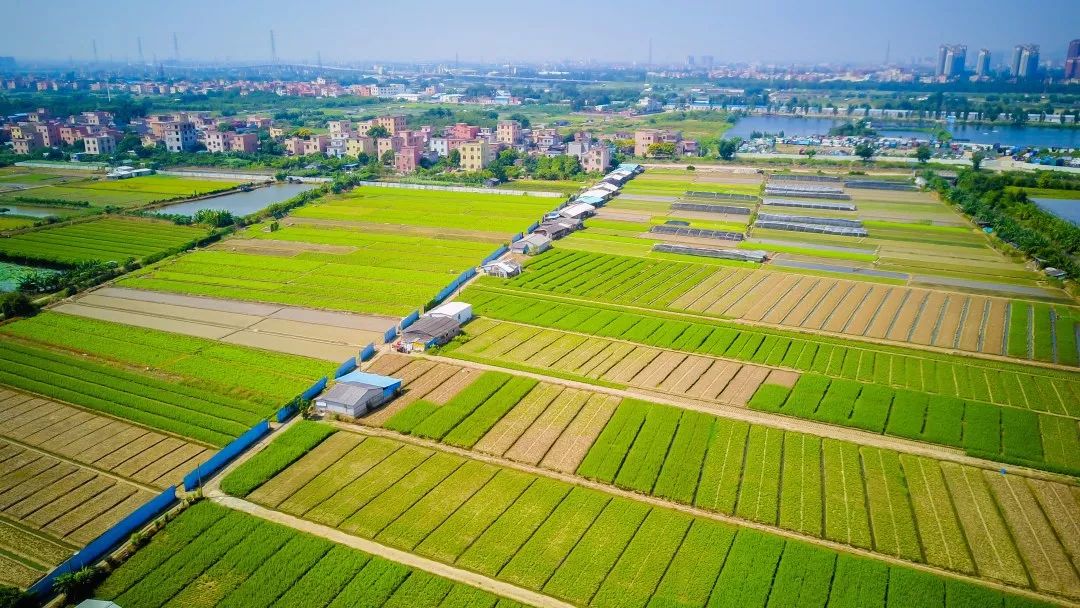 惊艳！航拍下的番禺，太美了！