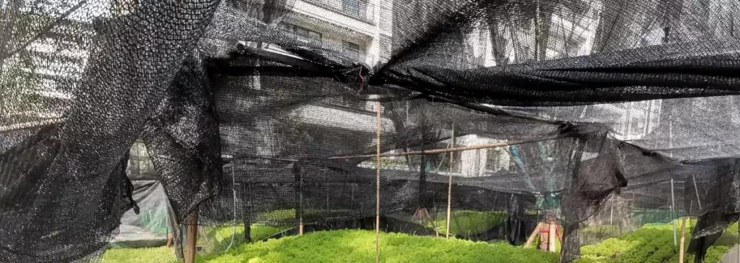 万科金开悦府,万科金开悦府高压线