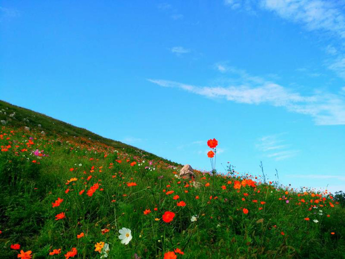 唐山5A旅游景点推荐一日游,唐山市5a旅游景点