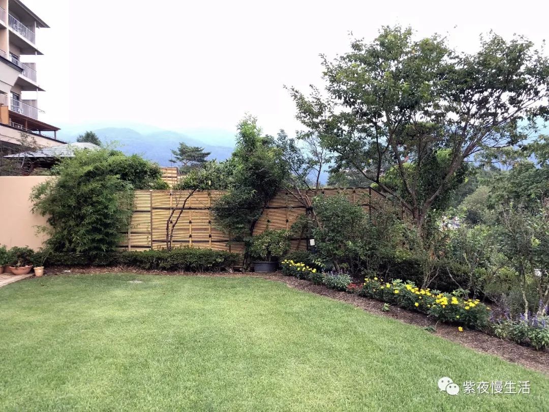 未见富士,幸运依在-秀峰阁湖月