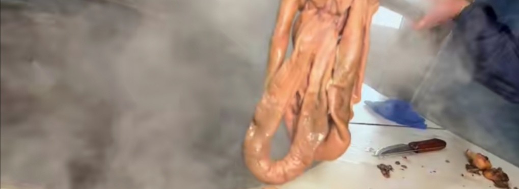 农村有名的驴肉馆,驴肉一斤100元