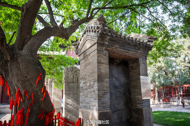 千年隆兴寺视频,千年古城正定